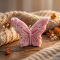 Butterfly Glow