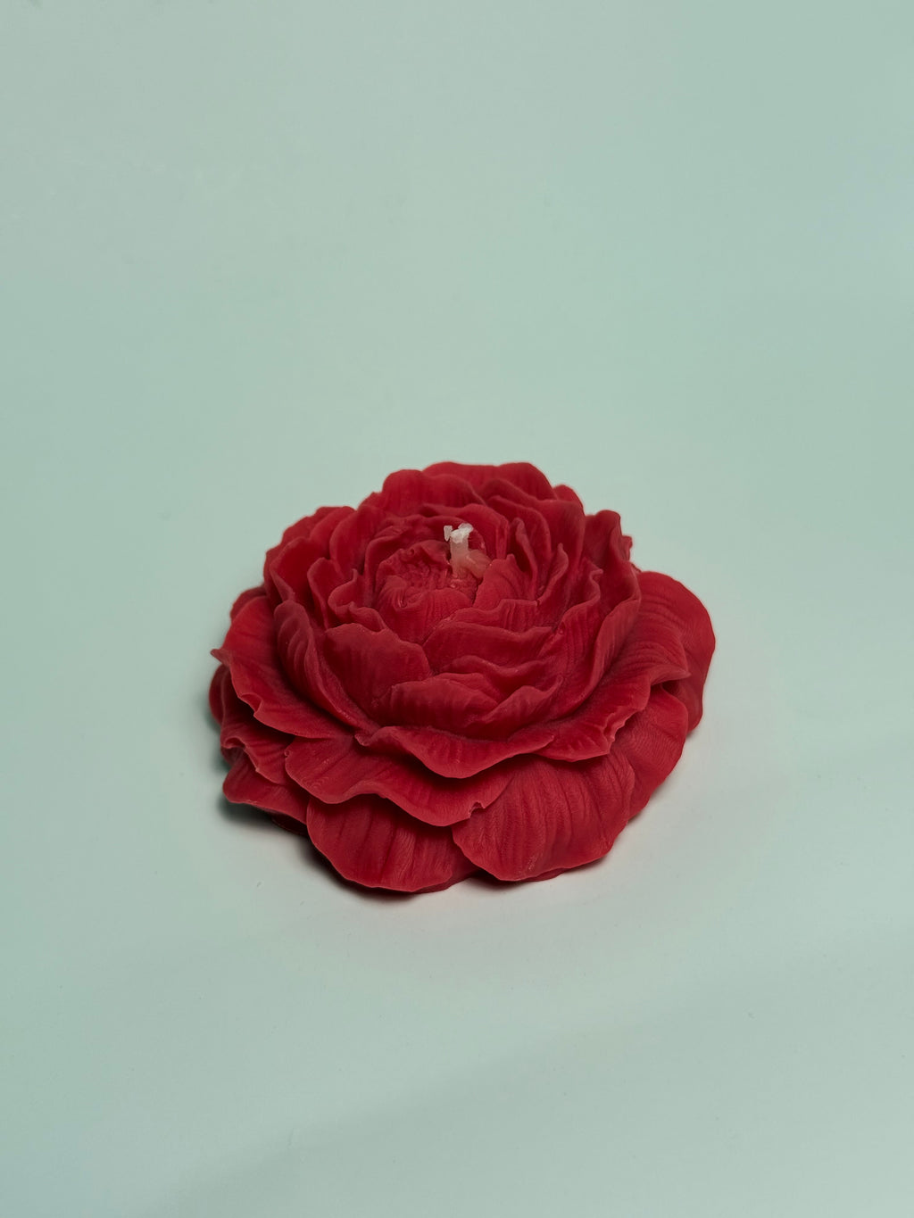 Eternal Bloom