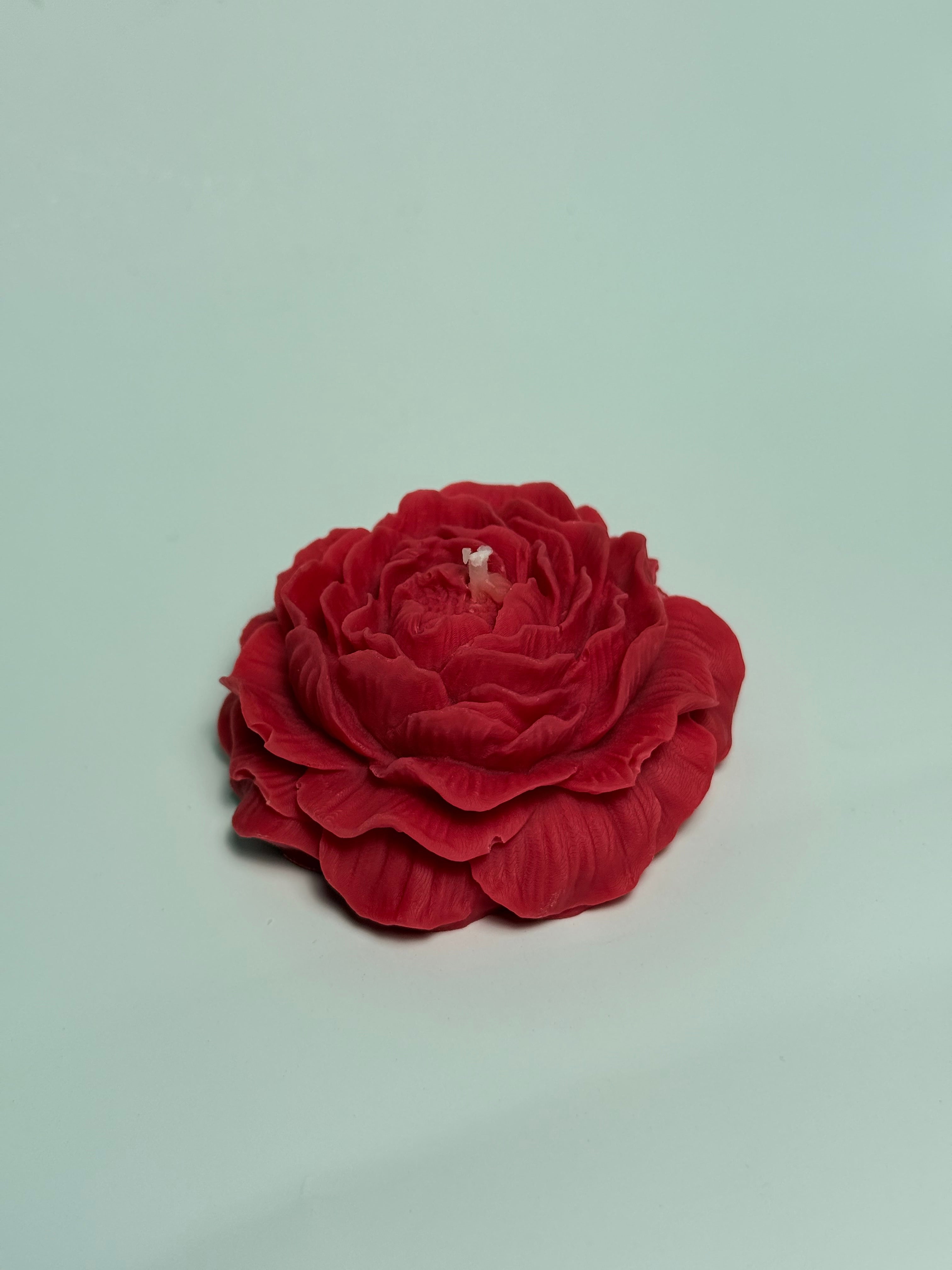 Eternal Bloom